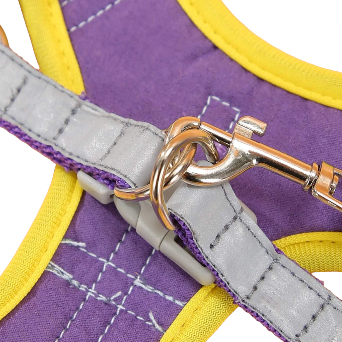 harnais laisse chien bandes réfléchissantes violet jaune twiggy