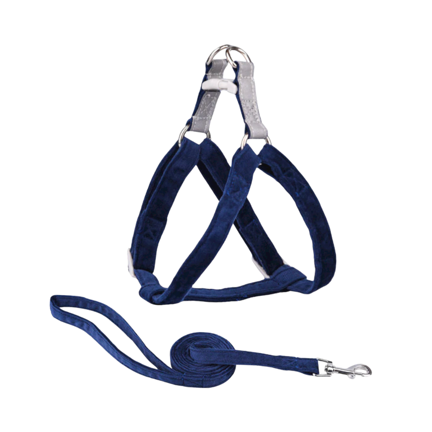 harnais laisse chien bandes réfléchissantes velours bleu marine twiggy