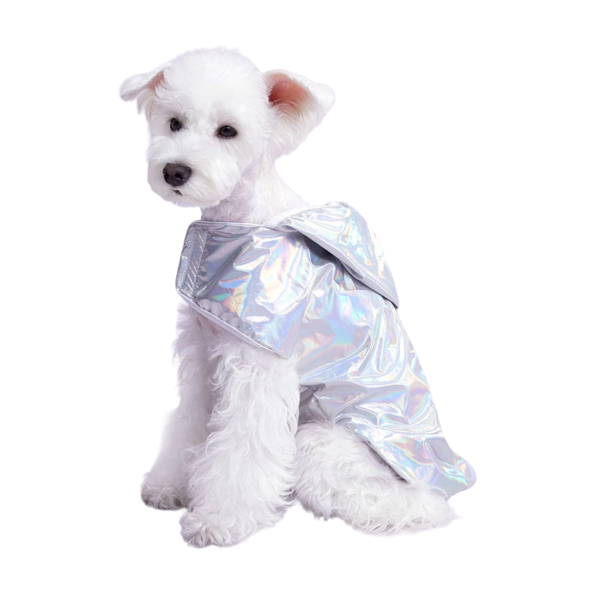manteau imperméable chien argenté chrome scratch twiggy