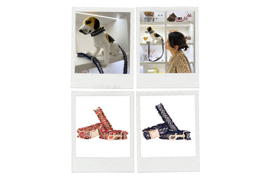 Accessoires pour chiens Yvanna La Baule