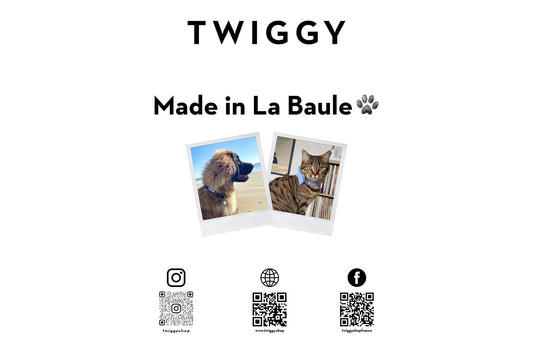 TWIGGY Made in La Baule