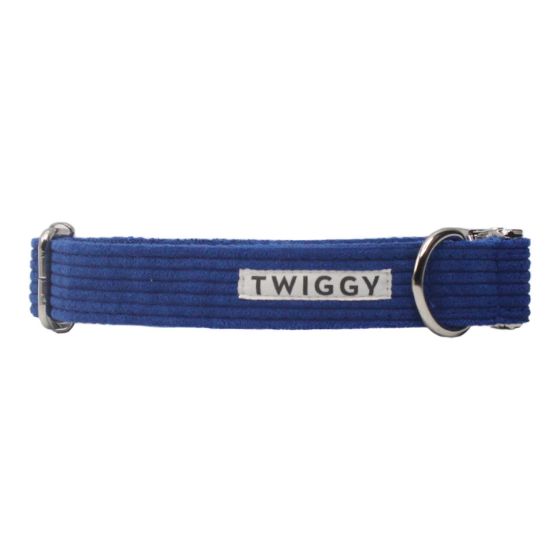 collier chien velours côtelé boucle métal argenté bleu twiggy