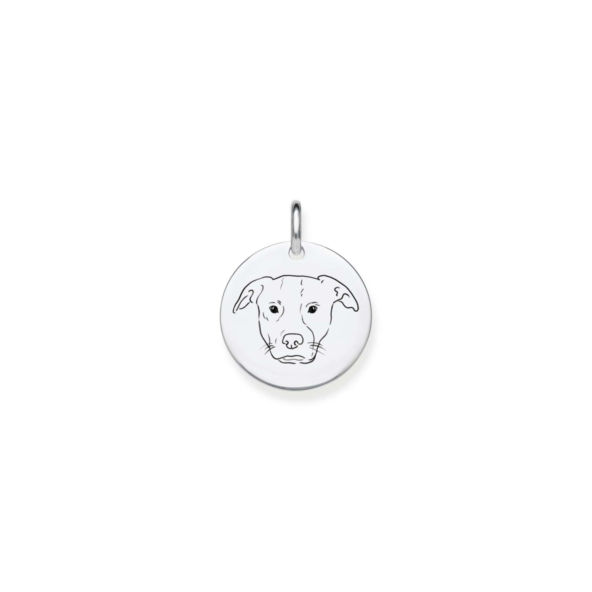 médaillon pendentif chien graver nom téléphone coordonnés twiggy