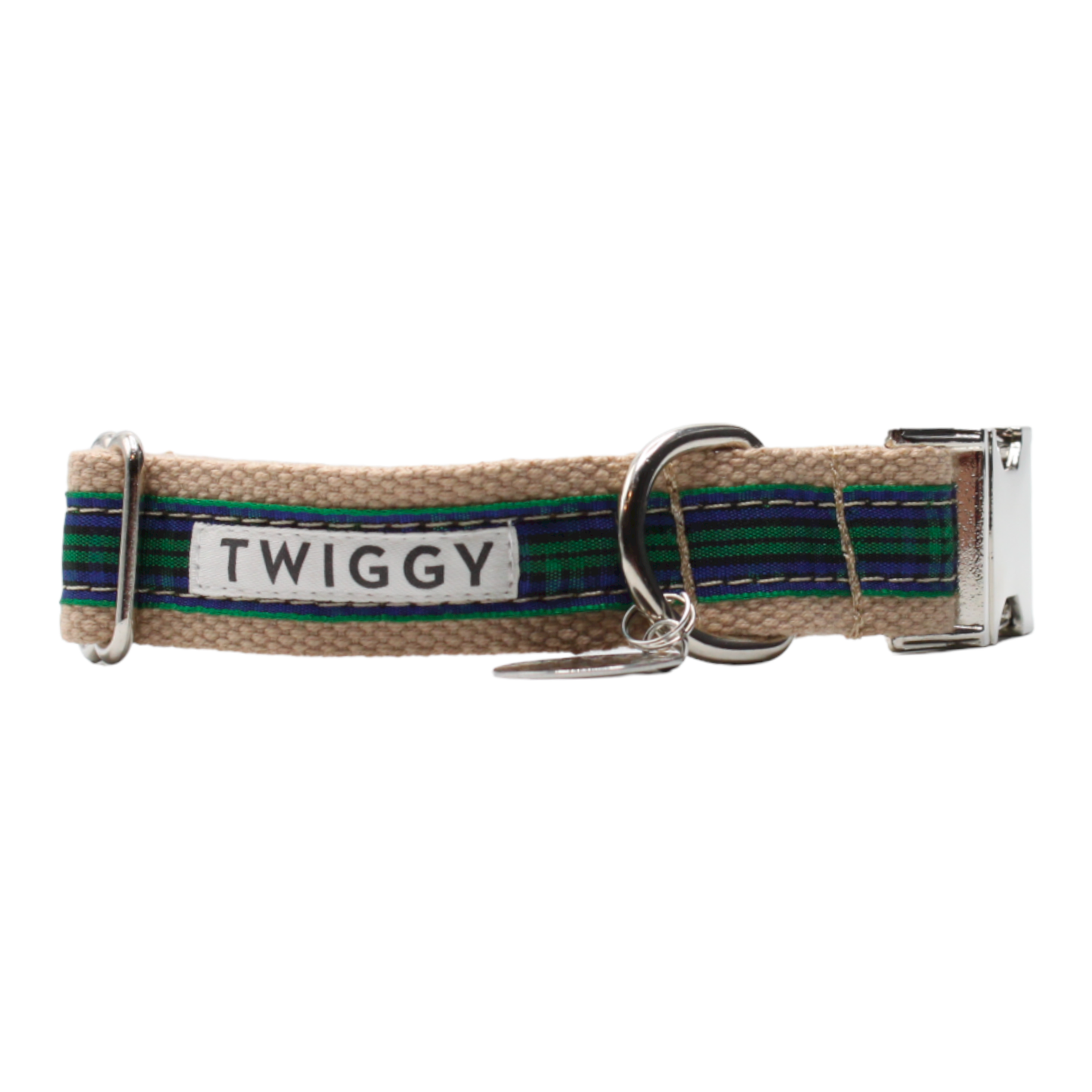 collier chien boucle métal argentée écossais tartan vert bleu twiggy
