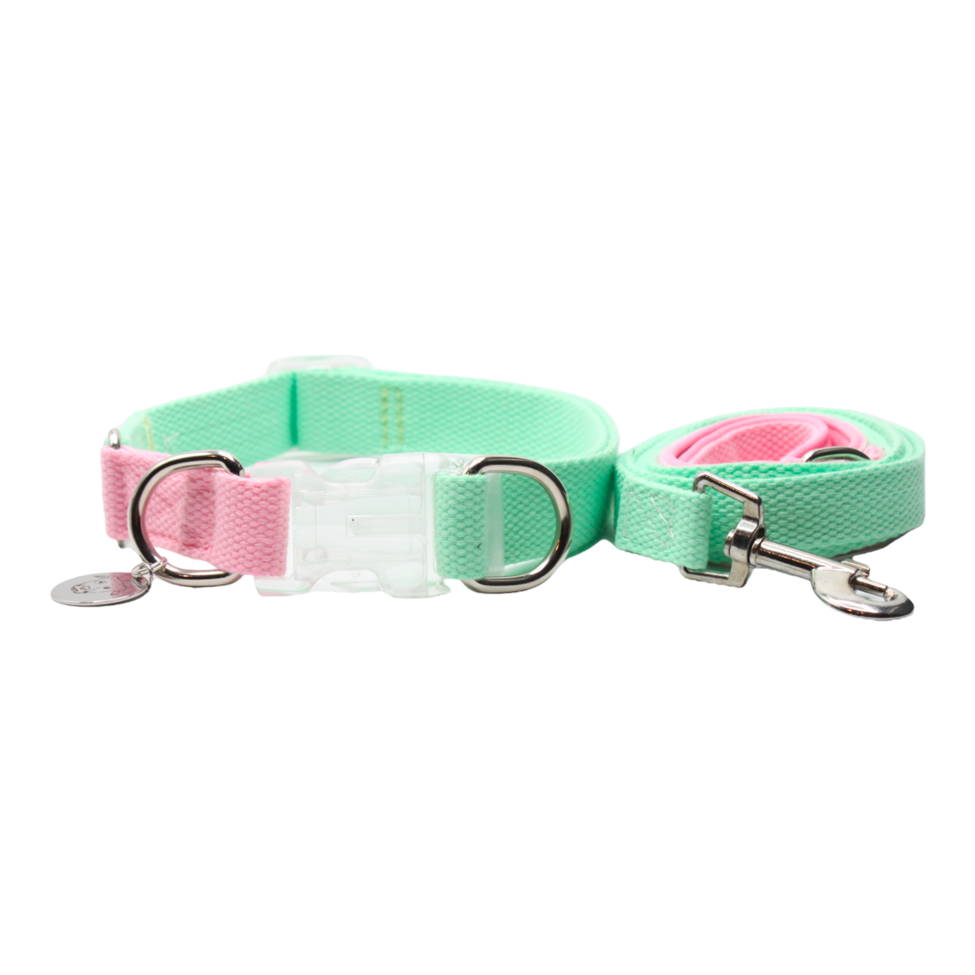 collier laisse chien boucle plastique transparente bicolore rose vert double anneaux twiggy