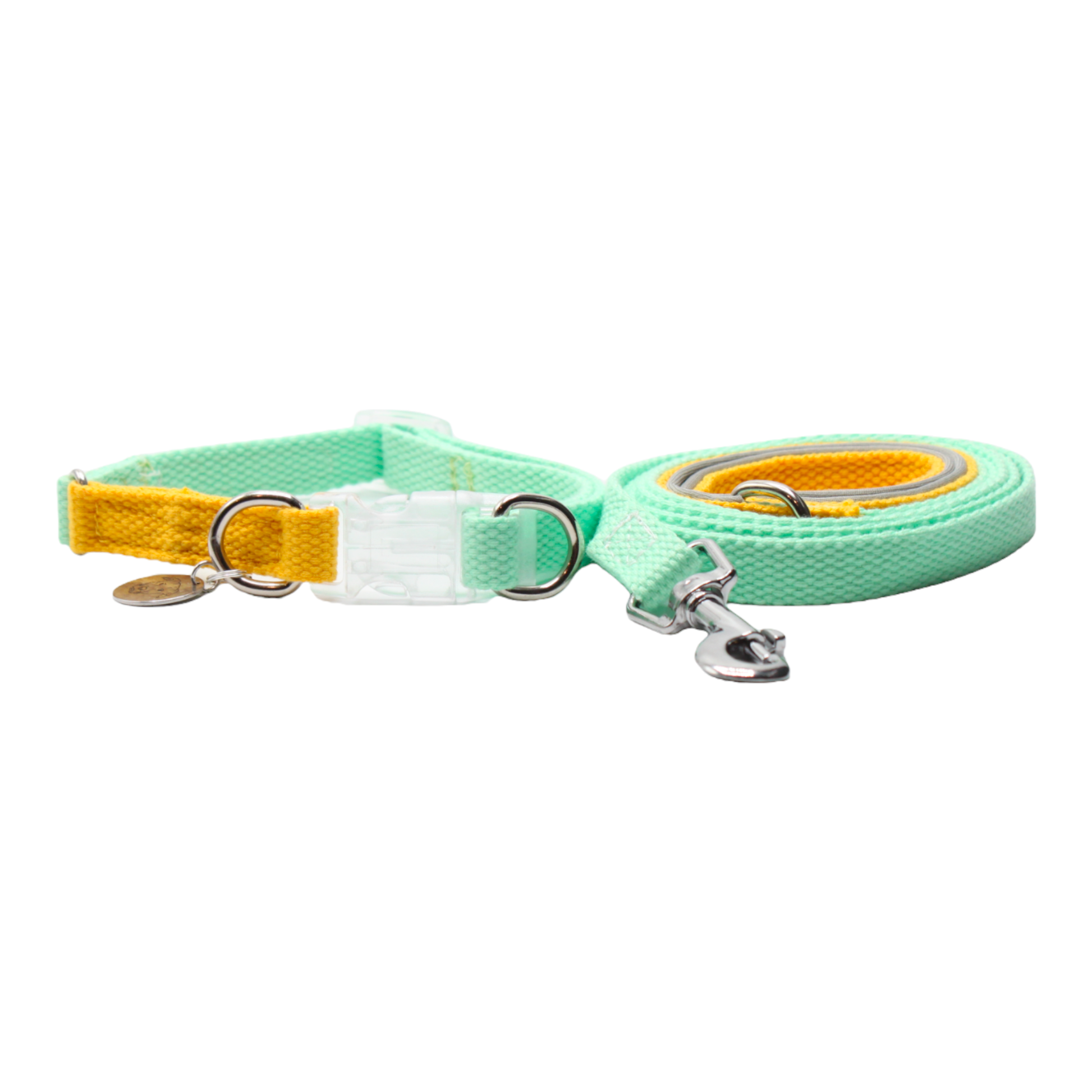 collier laisse chien boucle plastique transparente bicolore jaune vert double anneaux twiggy