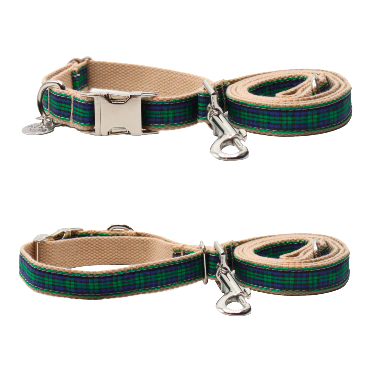 collier laisse chien boucle métal argenté écossais tartan vert twiggy