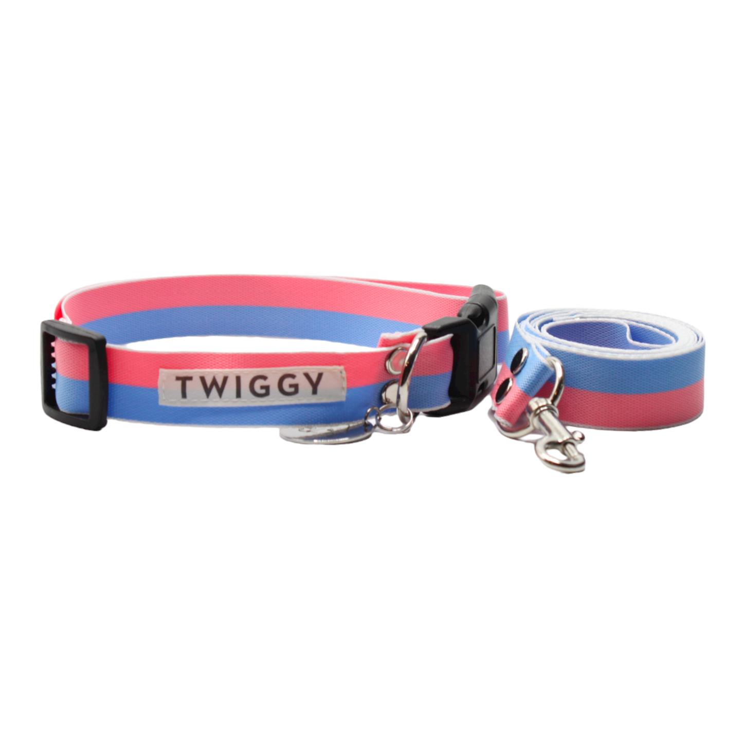 collier laisse chien boucle plastique bicolore rose bleu twiggy