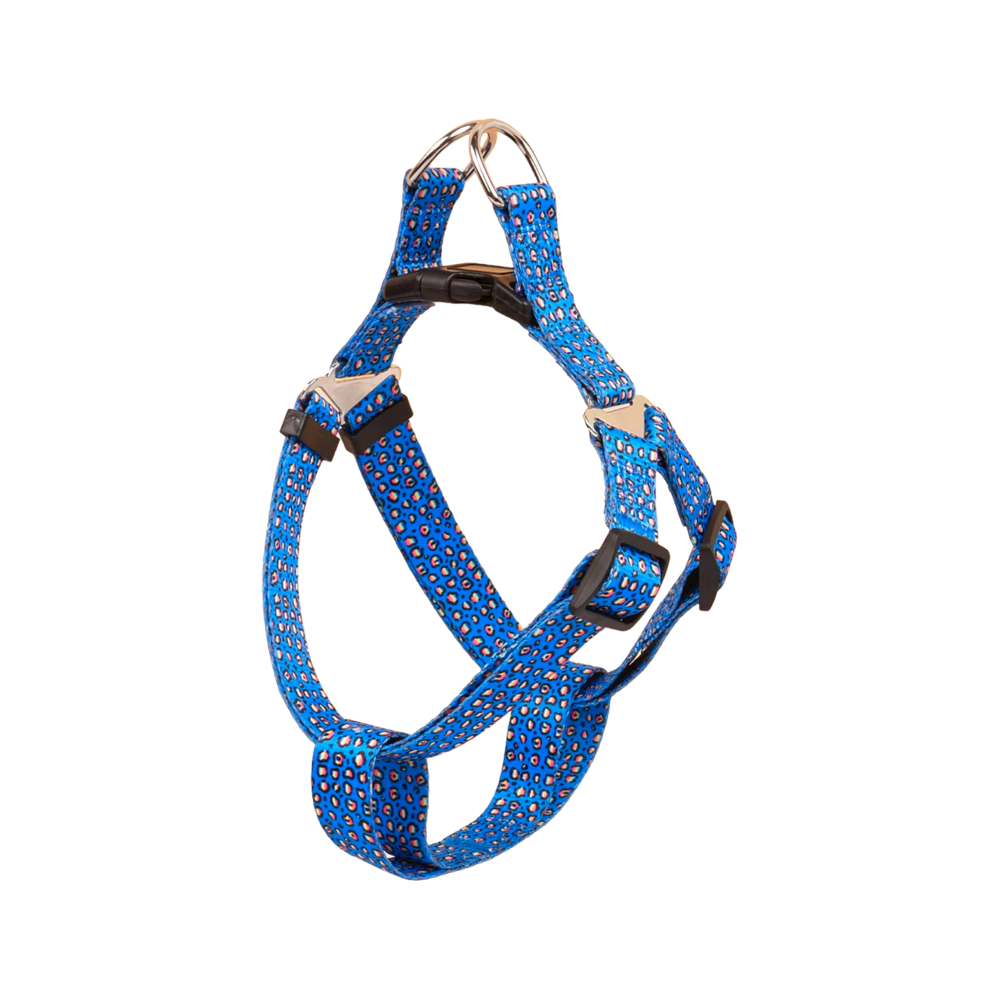 harnais chien léopard bleu boucle metal argentée twiggy